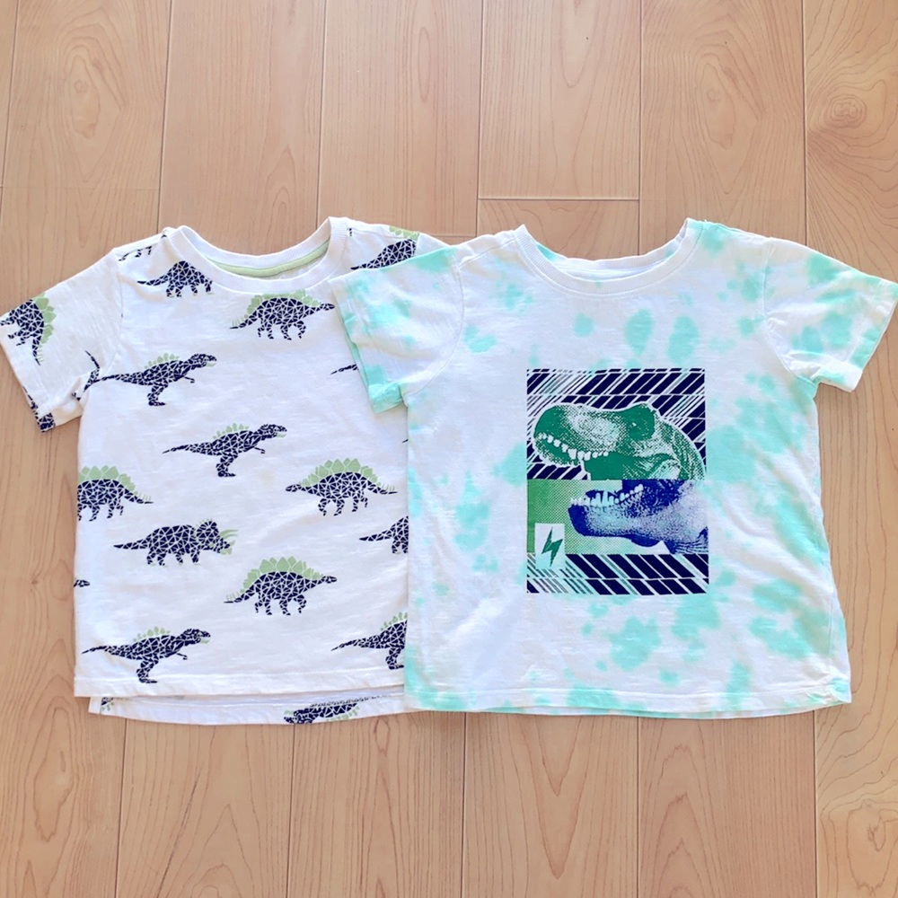 Art & Eden Boys Dinosaur Graphic T-Shirt Lot